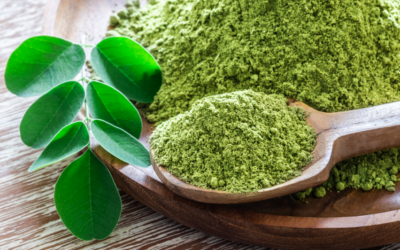 Moringa – ¿Una cura milagrosa?